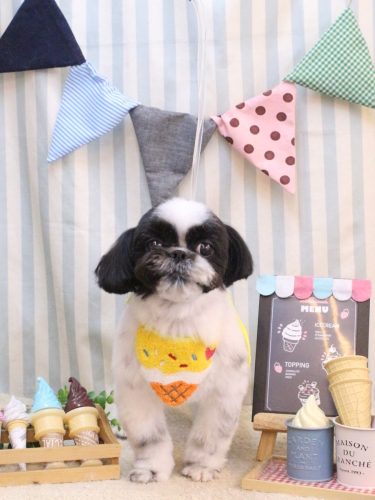 20250523たいがくん